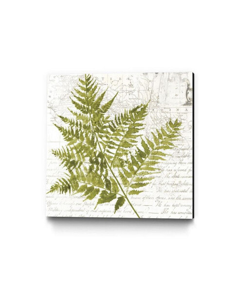 30" x 30" Fern I Museum Mounted Canvas Print