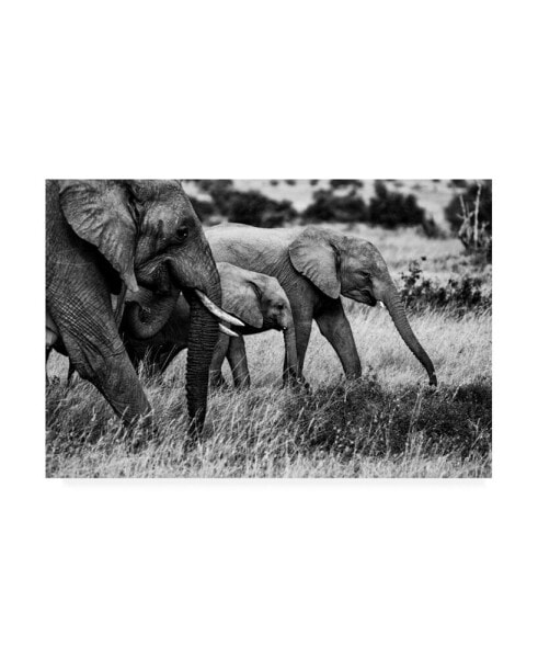 Vedran Vidak Elephant Family Amboseli Canvas Art - 37" x 49"