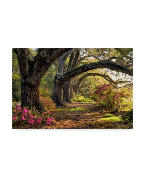 Danny Head Under the Live Oaks I Canvas Art - 15" x 20"