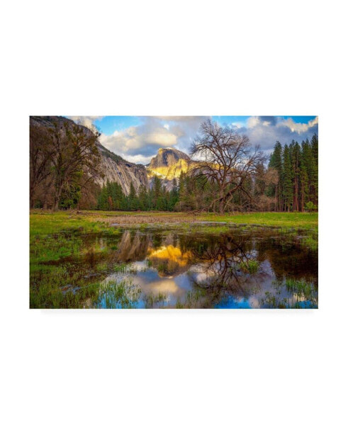 Dave Gordo A Mothers Tree Canvas Art - 19.5" x 26"