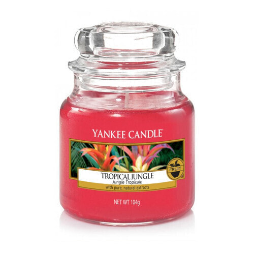 Aromatic Candle Classic Small Tropical Jungle 104g