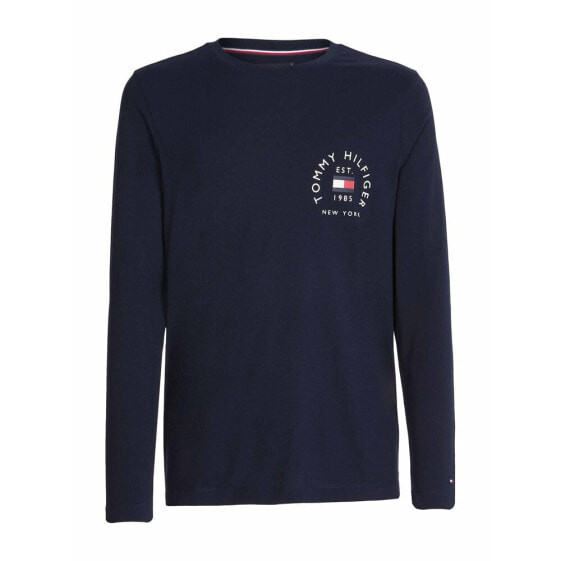 Синий мужской лонгслив Tommy Hilfiger MW0MW27911DW5