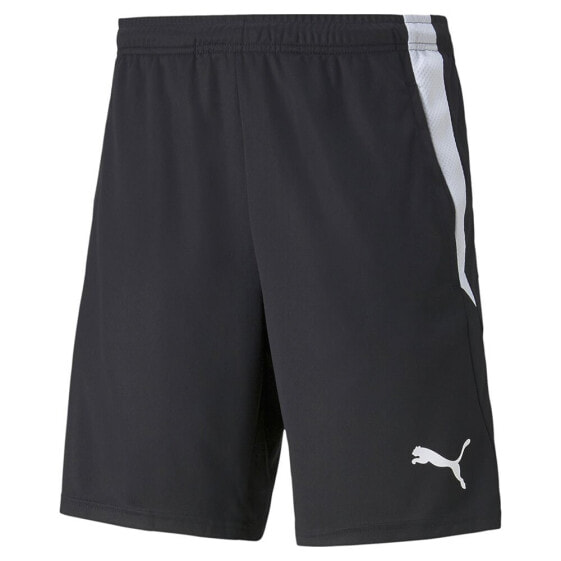 PUMA Teamliga 2 shorts