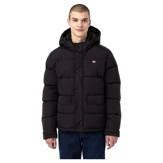 DICKIES Glacier View Jacket