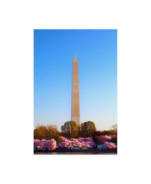 Mitch Catanzaro Washington Monument Under Light Canvas Art - 15.5" x 21"