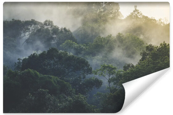 Fototapete TROPENWALD im Nebel Bäume 3D