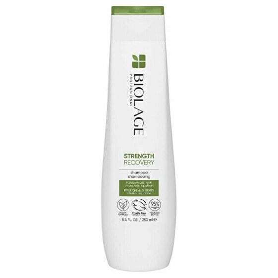 Shampoo for damaged hair Strength Recovery (Shampoo)