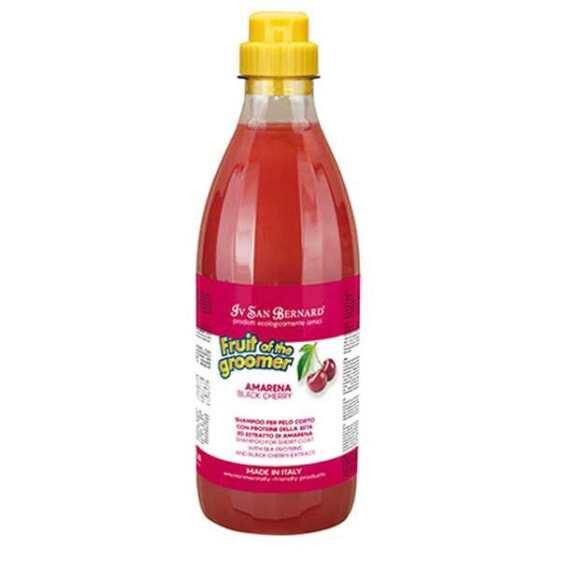 IV SAN BERNARD Fruits Amarena Shampoo 1L