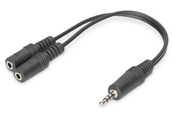 DIGITUS Audio Headset Adapter / Converter, 3.5 mm stereo (4-Pin), 3.5mm, Male, 2 x 3.5mm, Female, 0.2 m, Black