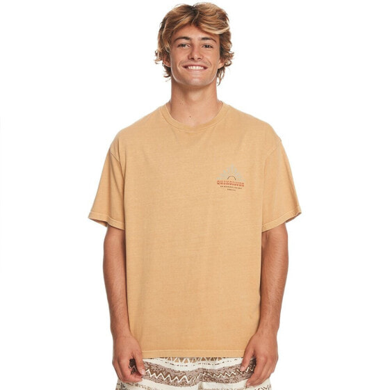 QUIKSILVER Qs Bloom Ss short sleeve v neck T-shirt