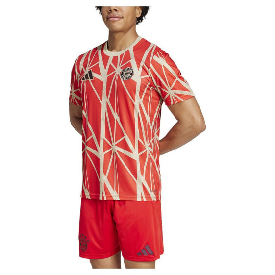 ADIDAS FC Bayern Munich 24/25 pre match short sleeve T-shirt