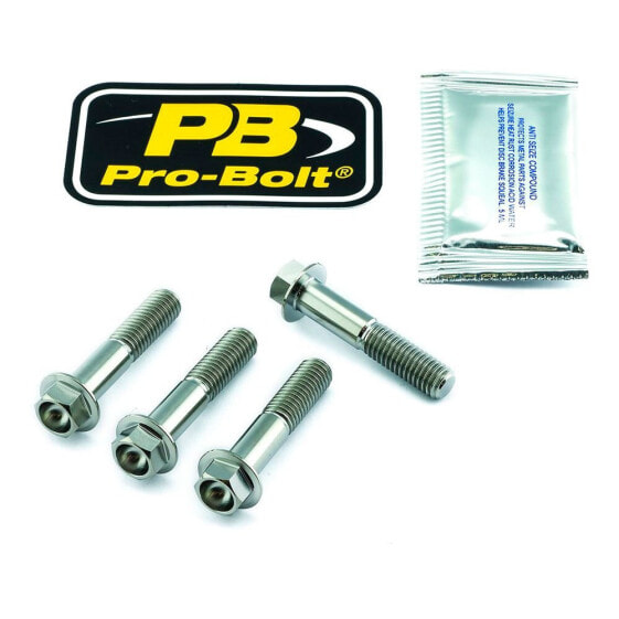 PRO BOLT TIFAPINCH10 Front Stainless Steel Axle Pinch Bolt Kit