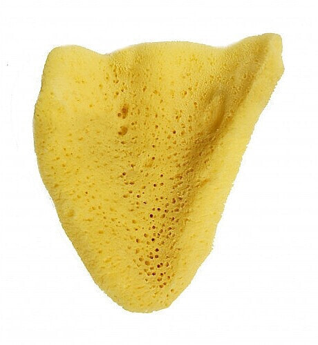 Badeschwamm Elephant Ear 12.7 cm