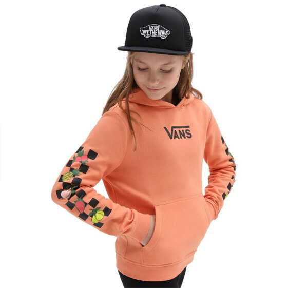 VANS Fruit Checker hoodie