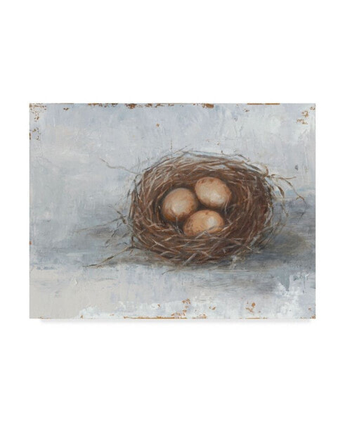 Ethan Harper Rustic Bird Nest II Canvas Art - 20" x 25"
