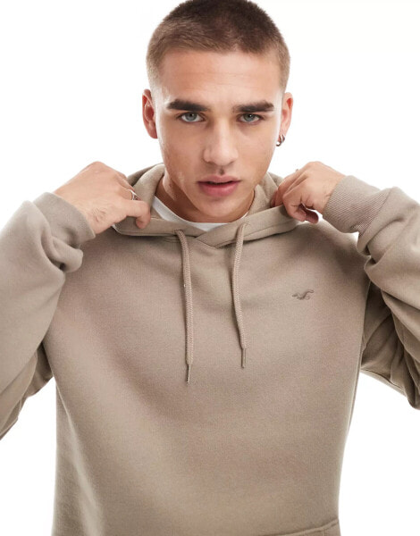 Hollister icon logo relaxed fit hoodie in tan