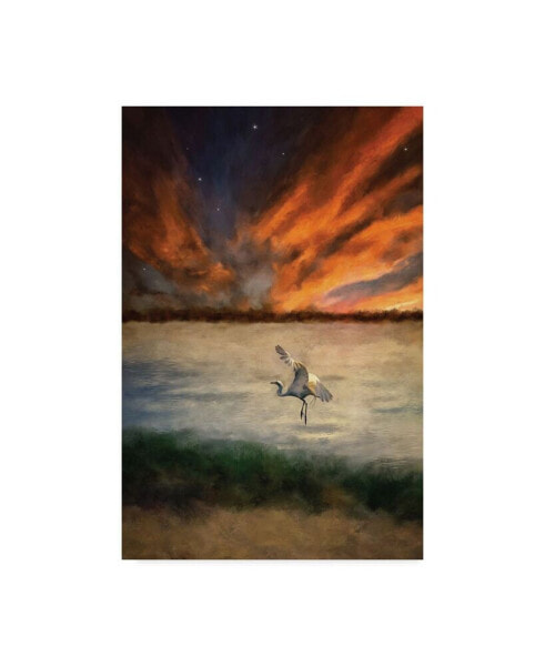 Lois Bryan Egret at Sunset Canvas Art - 37" x 49"