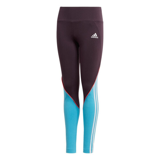 ADIDAS Bold Tight