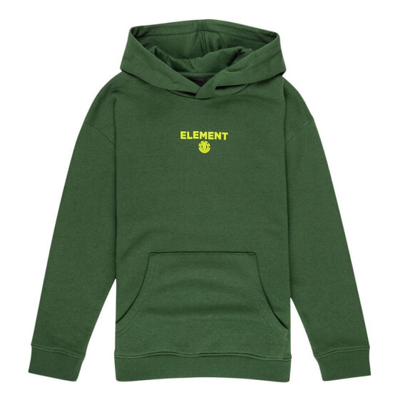 ELEMENT Disco Youth Hoodie