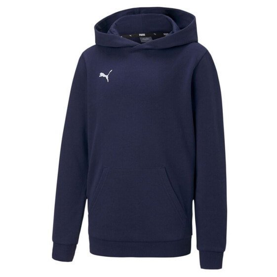 PUMA Teamgoal 23 Casuals Hoodie