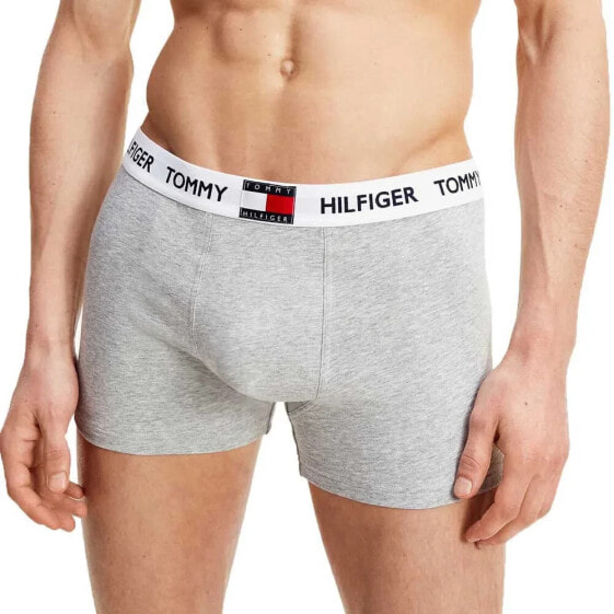 TOMMY HILFIGER Logo Blend boxers