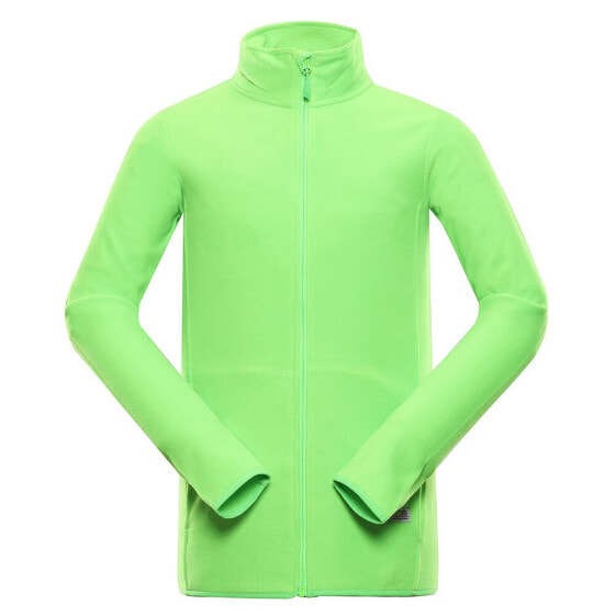 Толстовка для мужчин Alpine Pro Garim full zip fleece