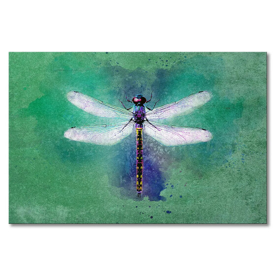 Leinwandbild Dragon Fly