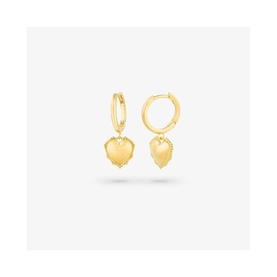 RADIANT RY000056 earrings