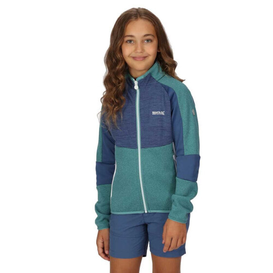 REGATTA Oberon Vii Full Zip Fleece