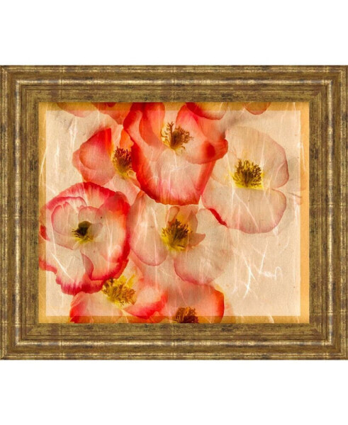 Papaver Dreams III by Harold Davis Framed Print Wall Art, 22" x 26"