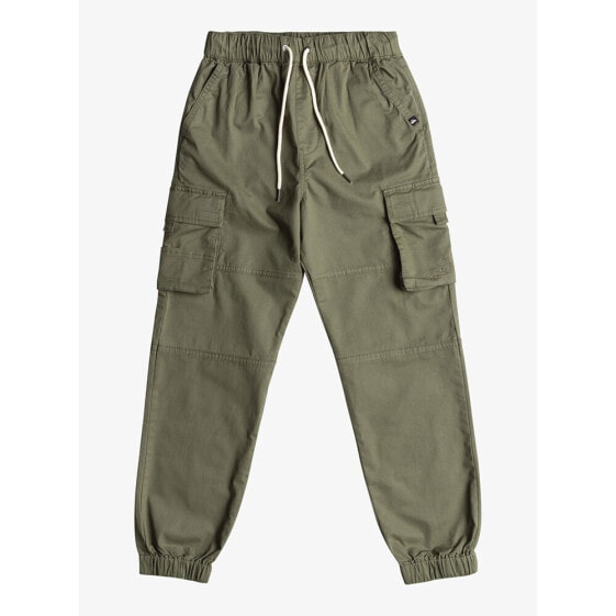 QUIKSILVER We Get By Cargo Pants