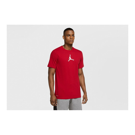 Nike Air Jordan Dri-fit Air Graphic