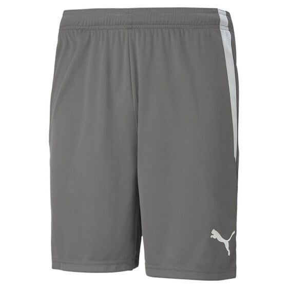 PUMA TeamLiga Shorts