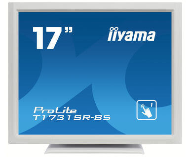 Монитор iiyama ProLite T1731SR-W5, 17", белый