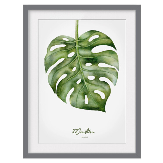 Bild Aquarell Botanik Monstera III