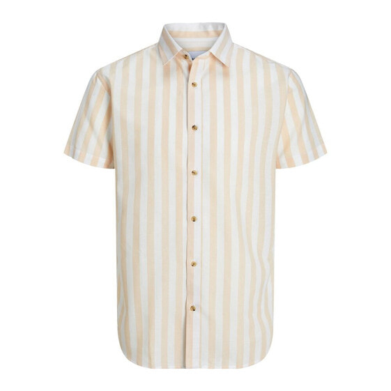 JACK & JONES Oshua Oxford short sleeve shirt