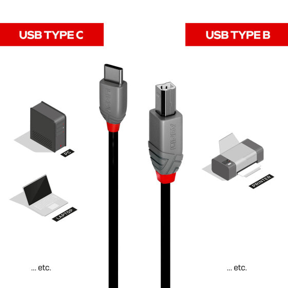 Lindy 3m USB 2.0 Typ C an B Kabel - Anthra Line - 3 m - USB C - USB B - USB 2.0 - 480 Mbit/s - Black
