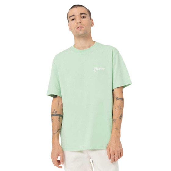 Футболка мужская Dickies Dighton Short Sleeve