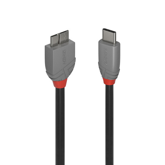 Кабель Lindy USB-C к USB-A Anthra Line 1м черный