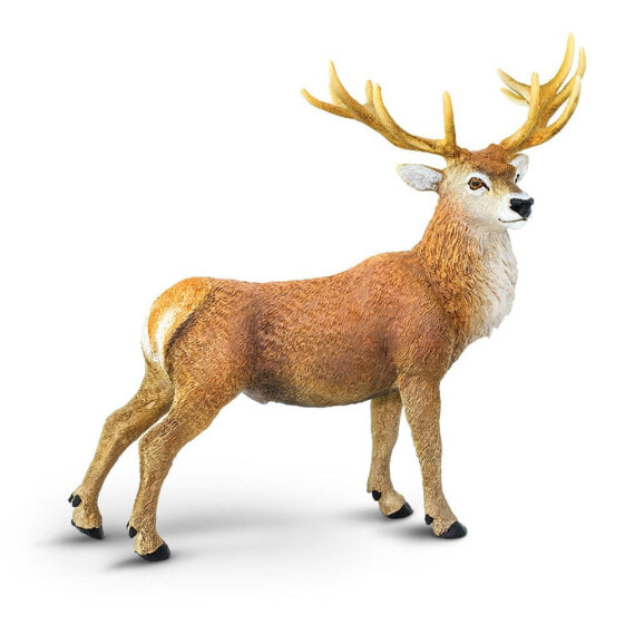 SAFARI LTD Red Deer Buck Figure