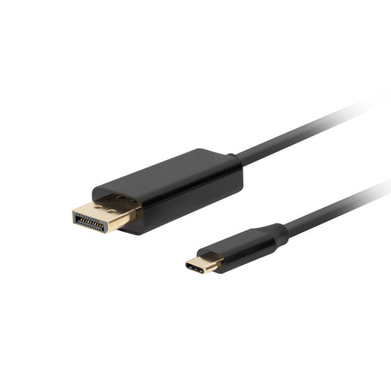 Адаптер USB C—DisplayPort Lanberg CA-CMDP-10CU-0010-BK Чёрный 1 m