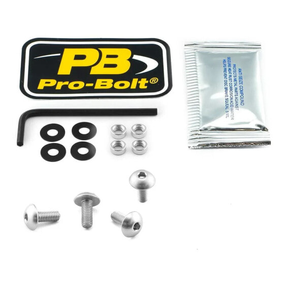 PRO BOLT SCR 4/CO SK410S Windshield Screws