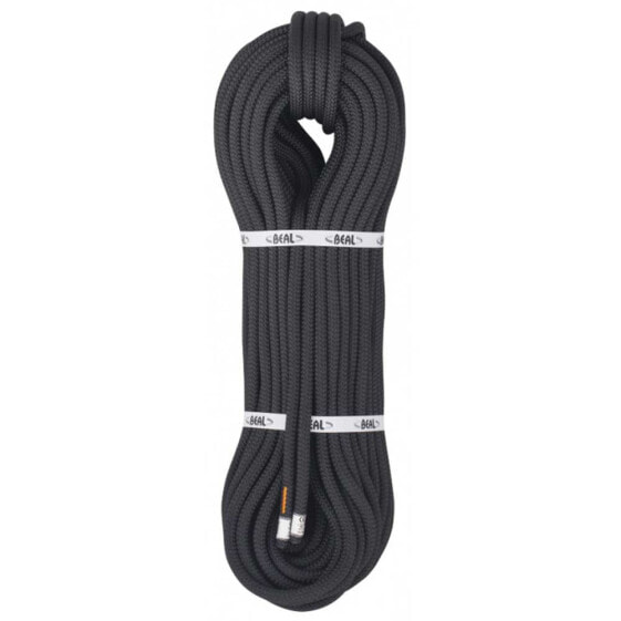 BEAL Intervention 10 mm Rope