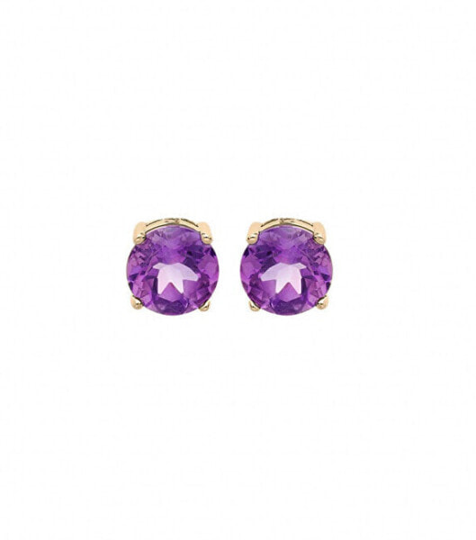 Fine gold-plated stud earrings with amethysts PO/SE00540Y