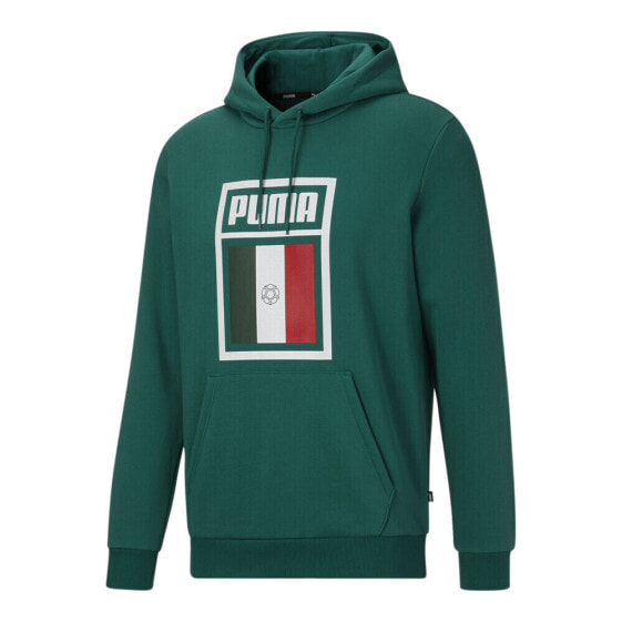 Puma World Cup Hoodie Fl Mens Green Casual Outerwear 67481304