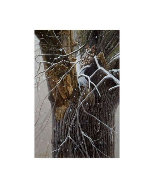 Michael Budden Winter Branches Canvas Art - 20" x 25"