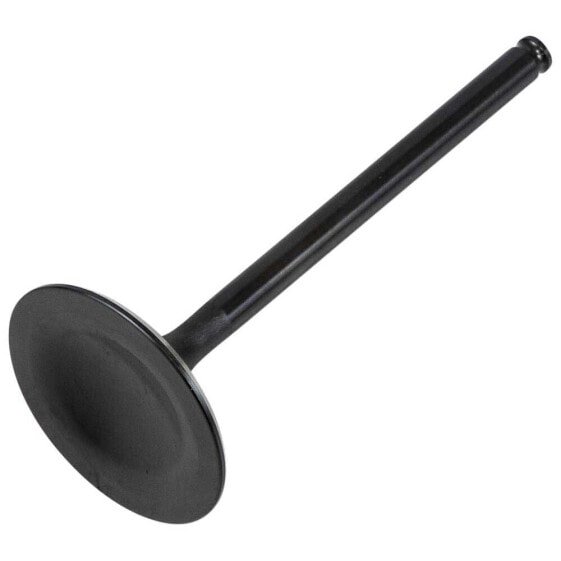 KIBBLEWHITE 30-30220 Intake Valve