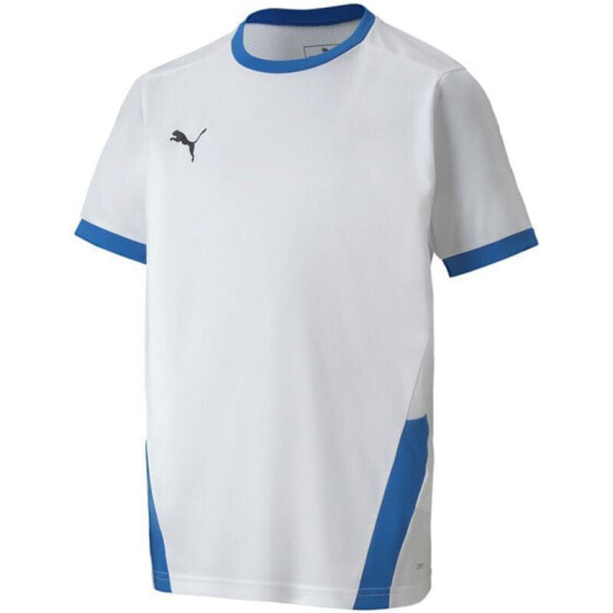 Puma teamGOAL 23 Jersey Jr T-shirt 704160 12