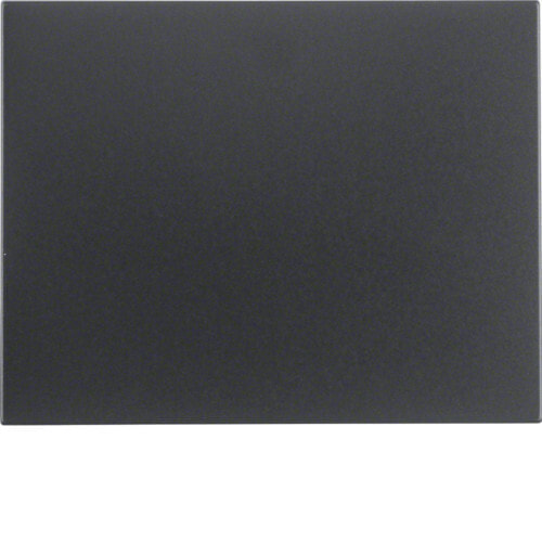Berker 14057006 - Black - Thermoplastic - 10 pc(s)