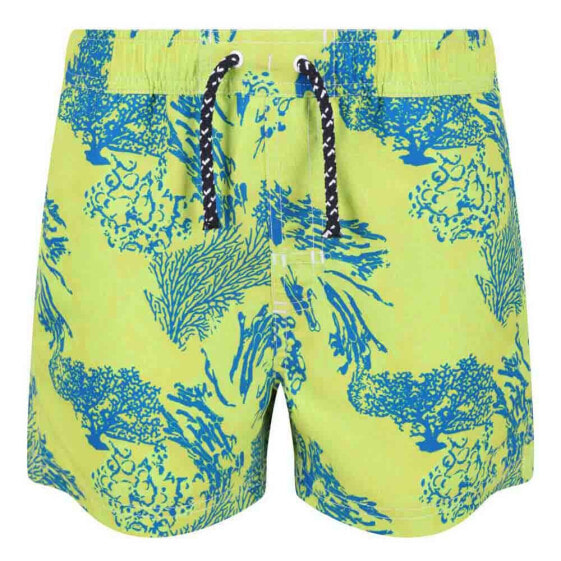 REGATTA Skander II Swimming Shorts